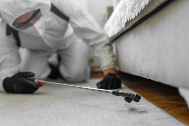 Professional Cockroach Control technician working in Drain, OR
