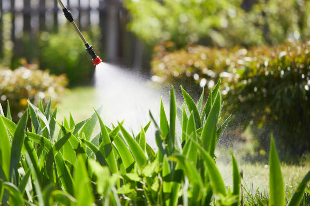 24/7 Emergency Cockroach Control experts in Drain, OR